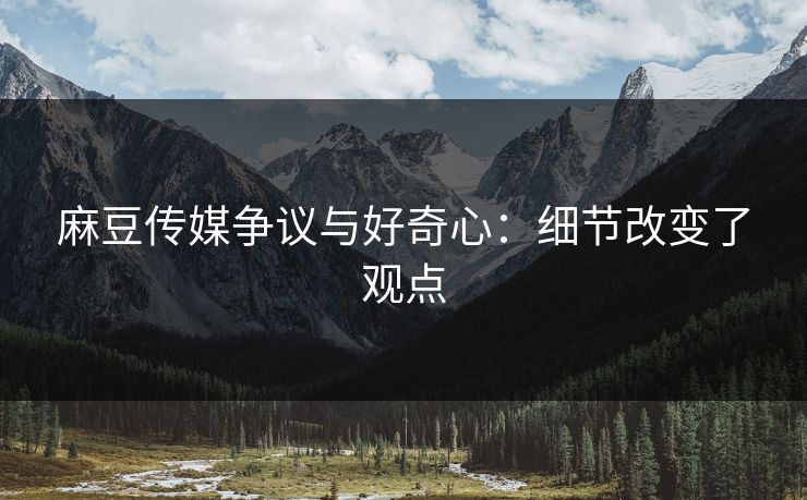 麻豆传媒争议与好奇心：细节改变了观点