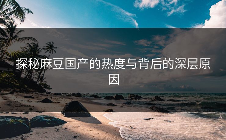 探秘麻豆国产的热度与背后的深层原因