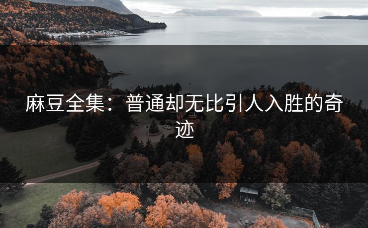 麻豆全集：普通却无比引人入胜的奇迹