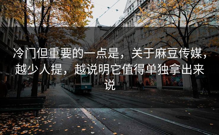 冷门但重要的一点是，关于麻豆传媒，越少人提，越说明它值得单独拿出来说
