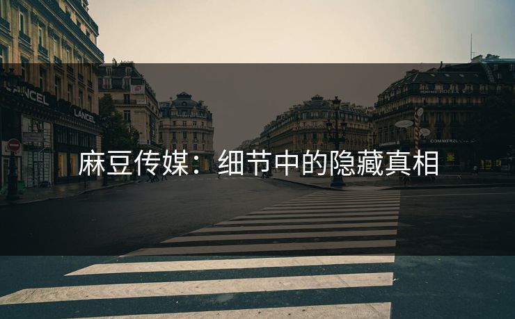 麻豆传媒：细节中的隐藏真相