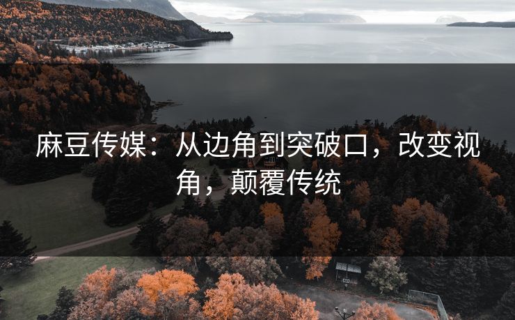 麻豆传媒：从边角到突破口，改变视角，颠覆传统