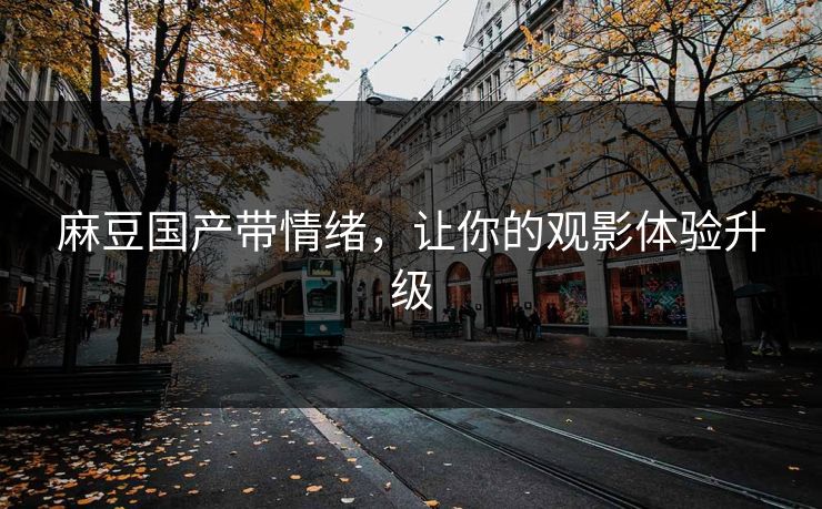 麻豆国产带情绪，让你的观影体验升级