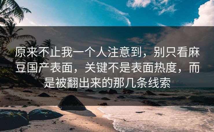 原来不止我一个人注意到，别只看麻豆国产表面，关键不是表面热度，而是被翻出来的那几条线索