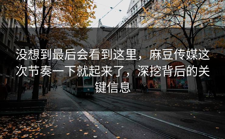 没想到最后会看到这里，麻豆传媒这次节奏一下就起来了，深挖背后的关键信息