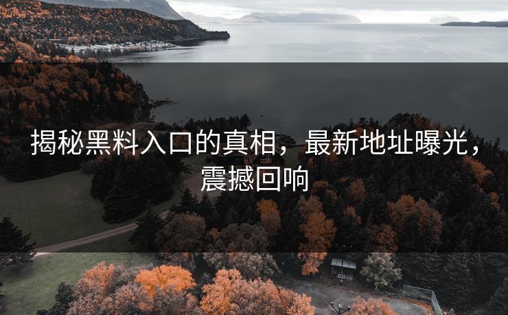 揭秘黑料入口的真相，最新地址曝光，震撼回响