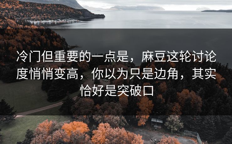 冷门但重要的一点是，麻豆这轮讨论度悄悄变高，你以为只是边角，其实恰好是突破口