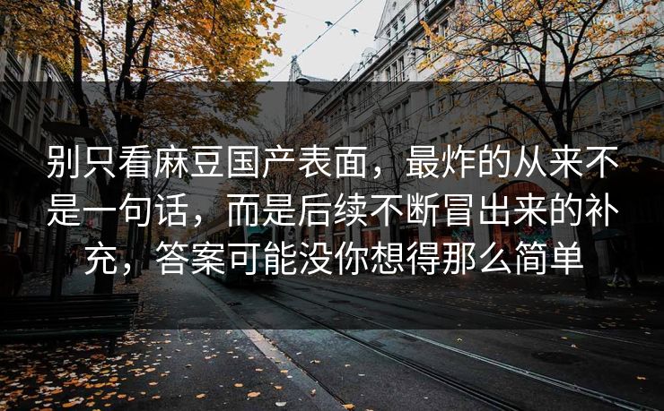 别只看麻豆国产表面，最炸的从来不是一句话，而是后续不断冒出来的补充，答案可能没你想得那么简单