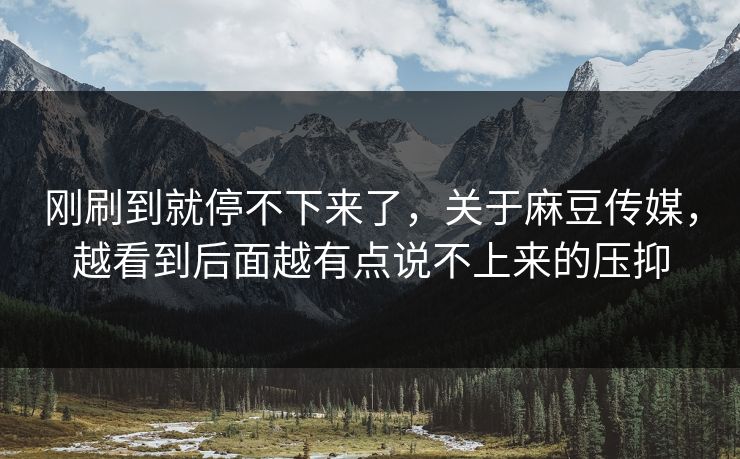 刚刷到就停不下来了，关于麻豆传媒，越看到后面越有点说不上来的压抑
