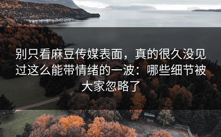 别只看麻豆传媒表面，真的很久没见过这么能带情绪的一波：哪些细节被大家忽略了