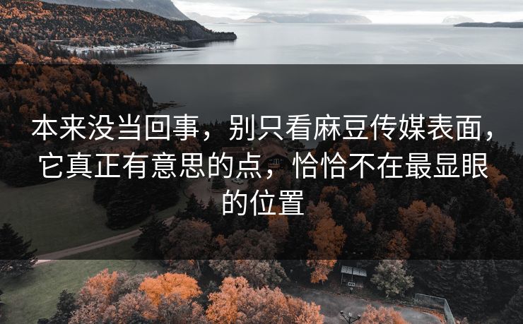 本来没当回事，别只看麻豆传媒表面，它真正有意思的点，恰恰不在最显眼的位置