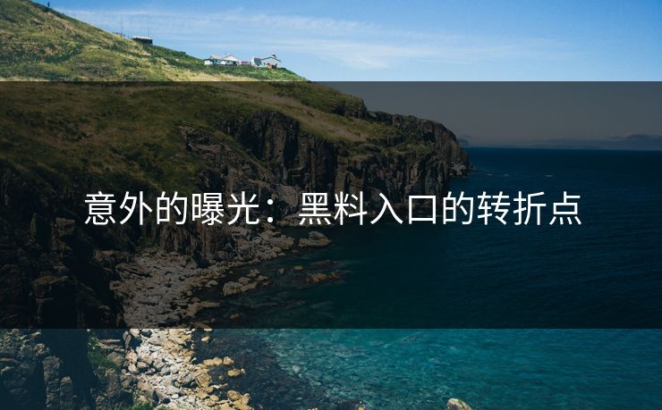 意外的曝光：黑料入口的转折点