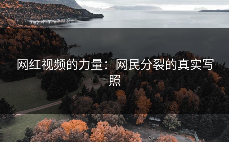网红视频的力量：网民分裂的真实写照