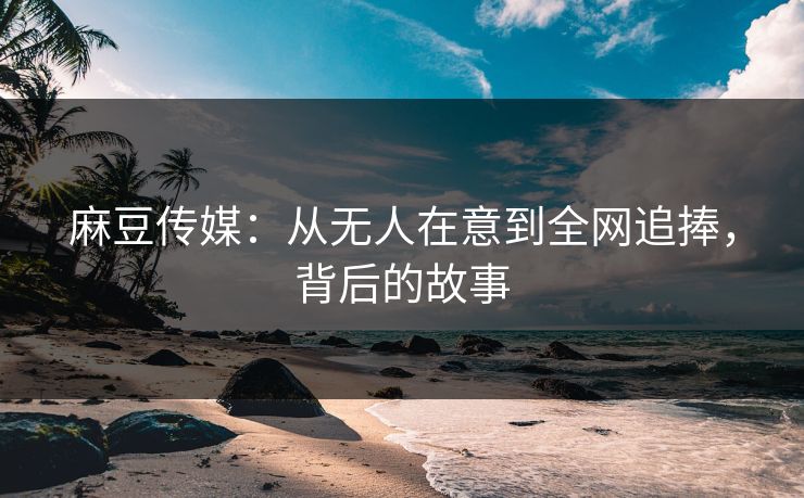 麻豆传媒：从无人在意到全网追捧，背后的故事