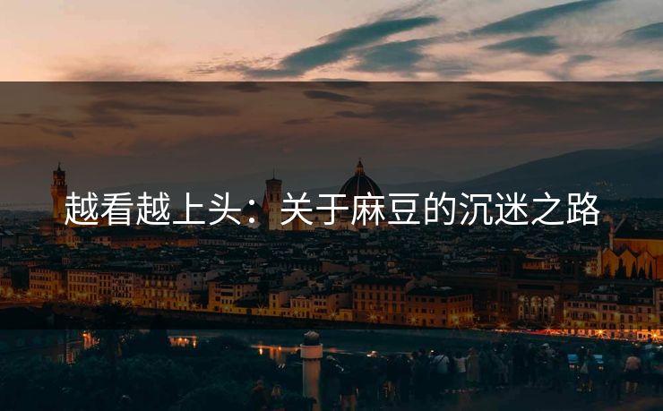 越看越上头：关于麻豆的沉迷之路